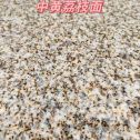 日照黄金麻中黄荔枝面