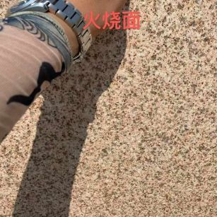 日照黄金麻火烧面