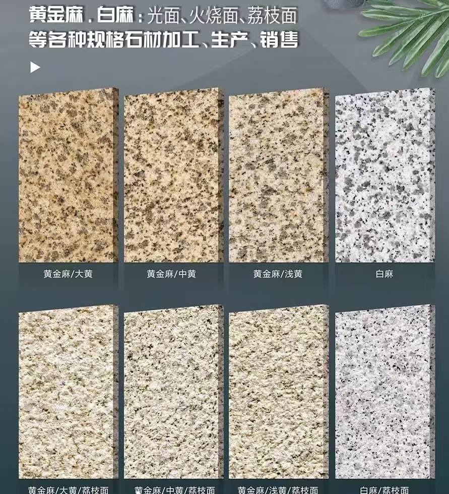 日照 黄金麻白麻样品展示