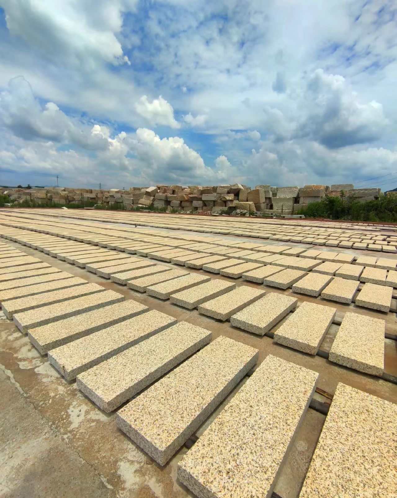 日照 黄金麻花岗岩荔枝面地铺石防护中